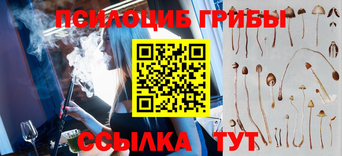 Галлюциногенные грибы GOLDEN TEACHER  Вход с VPN  Арсеньев  Галлюциногенные грибы прущие грибы 