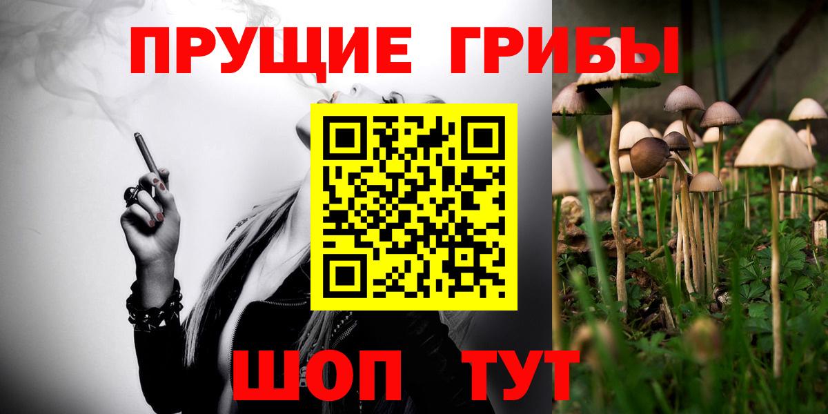 Псилоцибиновые грибы мухоморы Арсеньев